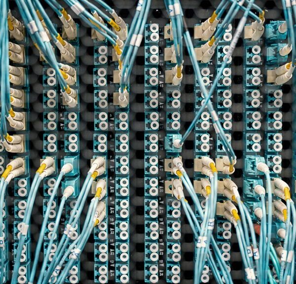 What to Review Around 4406538006 Before Making Troubleshooting Changes