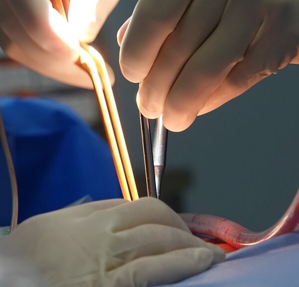 Effective Solutions Around 6072620431 When Unexpected Complications Surface